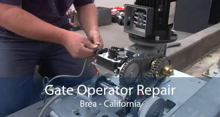 Gate Operator Repair Brea - California